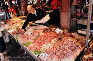 2003 Venedig,_8597_07_478